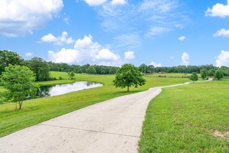 Farm for sale 833 Vine Ridge Rd, Crawford, TN 38554 - image 11