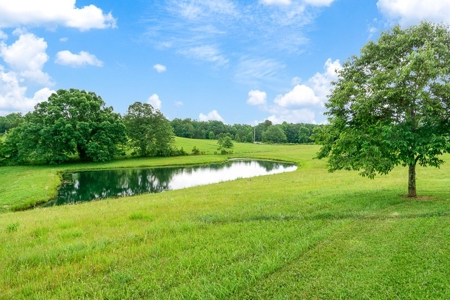 Farm for sale 833 Vine Ridge Rd, Crawford, TN 38554 - image 13
