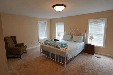 House for Sale in Alton MO - image 9