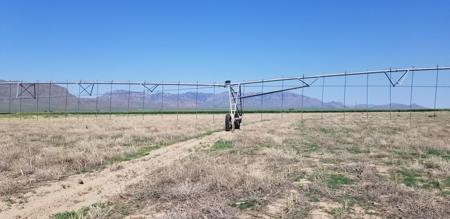 150+/- Acres of Farm Ground Willcox, AZ -  $526,820 - image 2