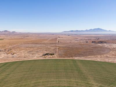 150+/- Acres of Farm Ground Willcox, AZ -  $526,820 - image 8