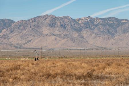 150+/- Acres of Farm Ground Willcox, AZ -  $526,820 - image 6