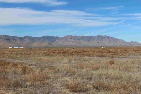 150+/- Acres of Farm Ground Willcox, AZ -  $526,820 - image 7