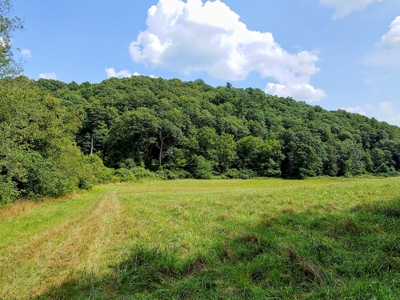 Land for Sale in Copper Hill VA! Virginia Real Estate - image 5