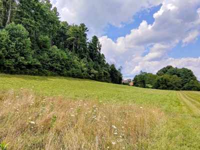 Land for Sale in Copper Hill VA! Virginia Real Estate - image 1