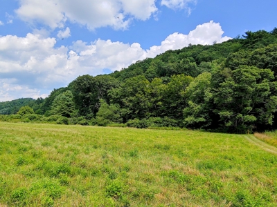 Land for Sale in Copper Hill VA! Virginia Real Estate - image 4