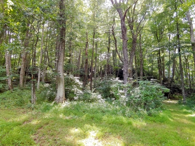 Land for Sale in Copper Hill VA! Virginia Real Estate - image 8