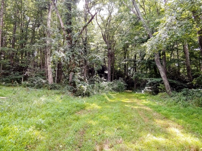 Land for Sale in Copper Hill VA! Virginia Real Estate - image 7