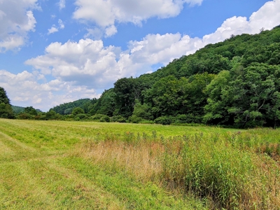 Land for Sale in Copper Hill VA! Virginia Real Estate - image 2