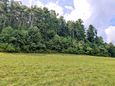 Land for Sale in Copper Hill VA! Virginia Real Estate - image 3
