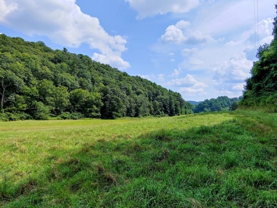 Land for Sale in Copper Hill VA! Virginia Real Estate - image 6
