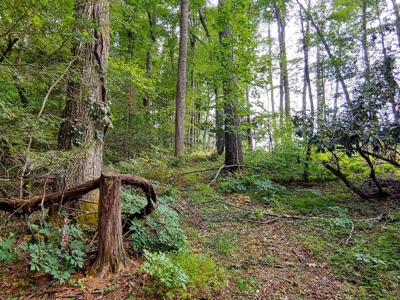 Land for Sale in Copper Hill VA! Virginia Real Estate - image 12