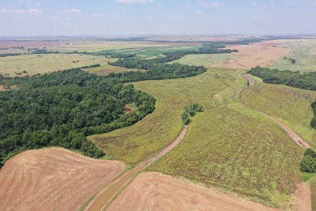 (Farm 2) * Auction * Hunting Farm * Kingfisher Co, Ok - image 6