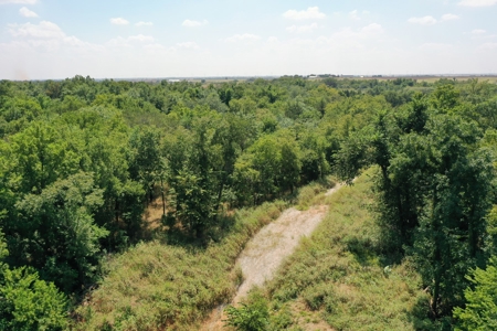 (Farm 2) * Auction * Hunting Farm * Kingfisher Co, Ok - image 3