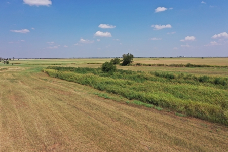(Farm 3) * Auction * Crop & Invest Land * Kingfisher Co, Ok - image 4