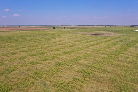 (Farm 4) * Auction * Crop & Recreational * Kingfisher Co, Ok - image 6