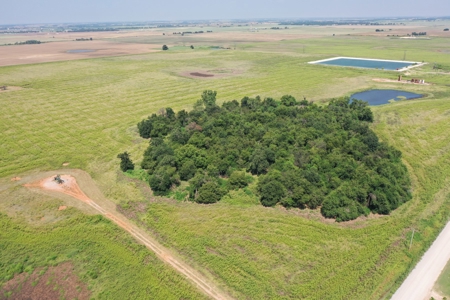 (Farm 4) * Auction * Crop & Recreational * Kingfisher Co, Ok - image 5