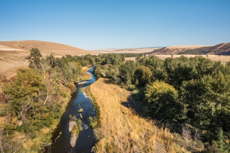 Home with Equestrian barn for sale in Dayton, WA - image 47