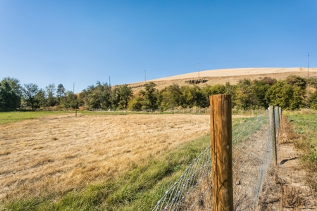 Home with Equestrian barn for sale in Dayton, WA - image 37