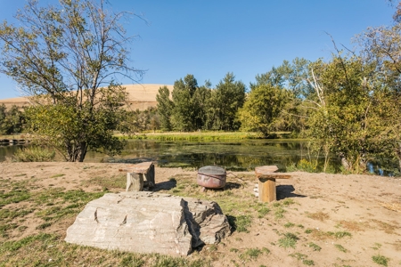 Home with Equestrian barn for sale in Dayton, WA - image 33