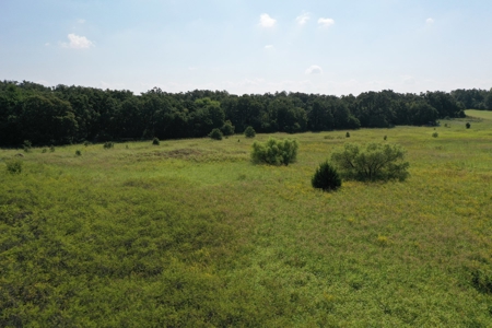 (Farm 6) * Auction * Country Home / Farm * Kingfisher Co, Ok - image 13