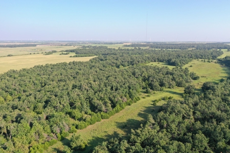 (Farm 8) * Auction * Farm & Hunting Land * Kingfisher Co, Ok - image 2