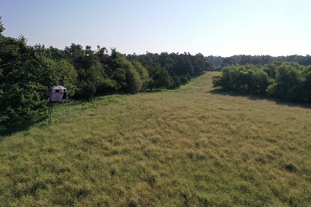 (Farm 8) * Auction * Farm & Hunting Land * Kingfisher Co, Ok - image 6