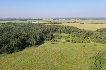 (Farm 8) * Auction * Farm & Hunting Land * Kingfisher Co, Ok - image 4