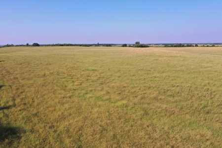 (Farm 8) * Auction * Farm & Hunting Land * Kingfisher Co, Ok - image 10