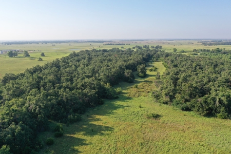 (Farm 8) * Auction * Farm & Hunting Land * Kingfisher Co, Ok - image 5