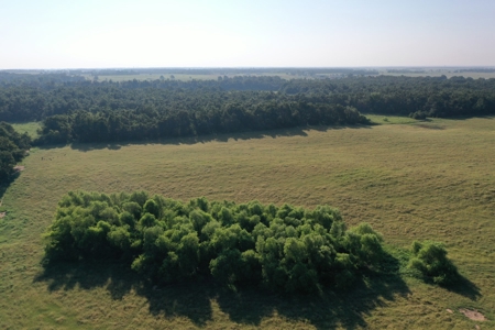 (Farm 8) * Auction * Farm & Hunting Land * Kingfisher Co, Ok - image 7