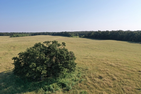 (Farm 8) * Auction * Farm & Hunting Land * Kingfisher Co, Ok - image 12