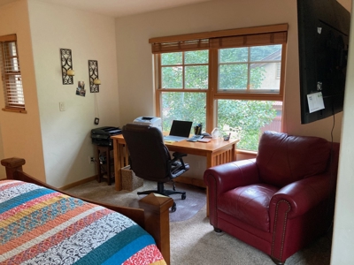 Top Quality Townhome For Sale, Ouray, Colorado - image 16
