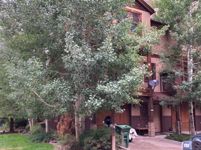 Top Quality Townhome For Sale, Ouray, Colorado - image 24