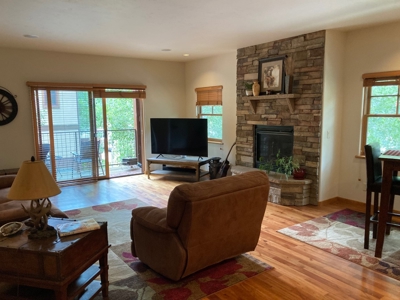Top Quality Townhome For Sale, Ouray, Colorado - image 1