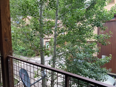 Top Quality Townhome For Sale, Ouray, Colorado - image 11