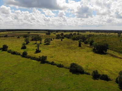 1,248 Acres Myakka Valley Ranch for Sale Myakka/Sarasota FL - image 43
