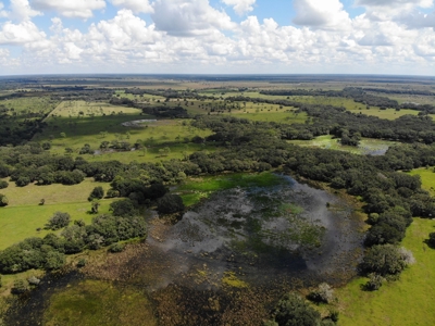 1,248 Acres Myakka Valley Ranch for Sale Myakka/Sarasota FL - image 49