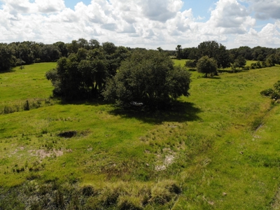 1,248 Acres Myakka Valley Ranch for Sale Myakka/Sarasota FL - image 12