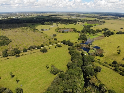 1,248 Acres Myakka Valley Ranch for Sale Myakka/Sarasota FL - image 31