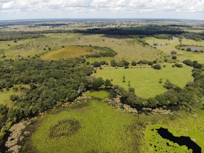 1,248 Acres Myakka Valley Ranch for Sale Myakka/Sarasota FL - image 30