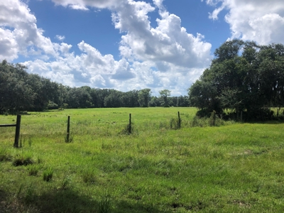 1,248 Acres Myakka Valley Ranch for Sale Myakka/Sarasota FL - image 10