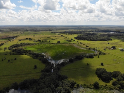 1,248 Acres Myakka Valley Ranch for Sale Myakka/Sarasota FL - image 21