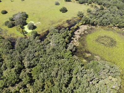 1,248 Acres Myakka Valley Ranch for Sale Myakka/Sarasota FL - image 28