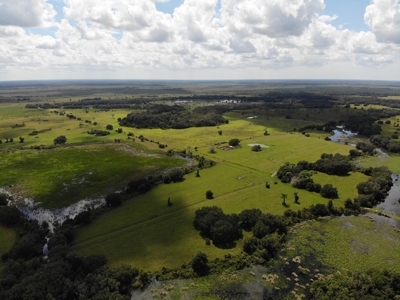 1,248 Acres Myakka Valley Ranch for Sale Myakka/Sarasota FL - image 22