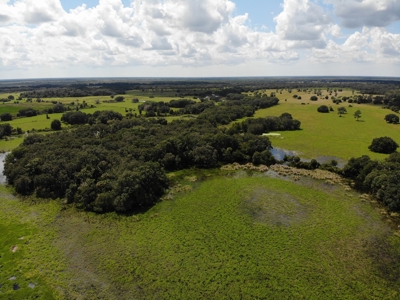 1,248 Acres Myakka Valley Ranch for Sale Myakka/Sarasota FL - image 16