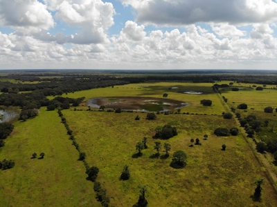 1,248 Acres Myakka Valley Ranch for Sale Myakka/Sarasota FL - image 46