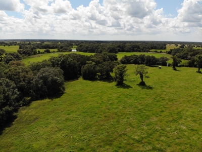 1,248 Acres Myakka Valley Ranch for Sale Myakka/Sarasota FL - image 14