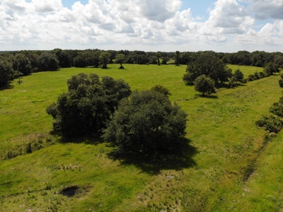1,248 Acres Myakka Valley Ranch for Sale Myakka/Sarasota FL - image 13
