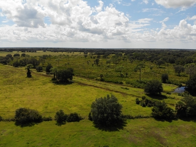 1,248 Acres Myakka Valley Ranch for Sale Myakka/Sarasota FL - image 42
